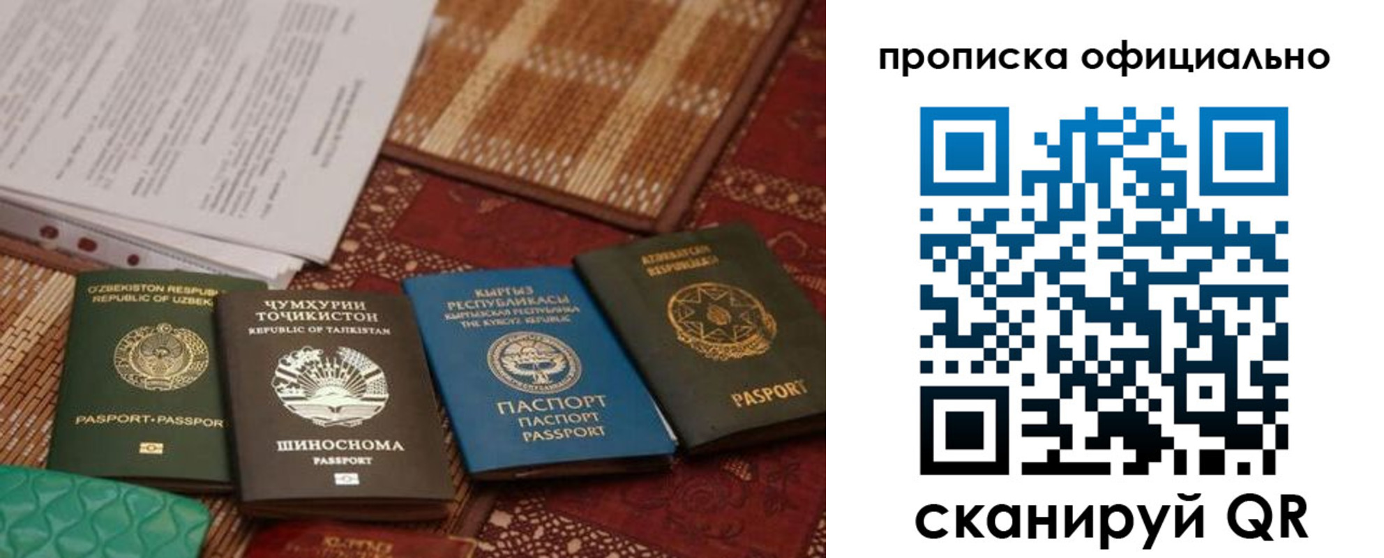 где прописаться в Ярославской области